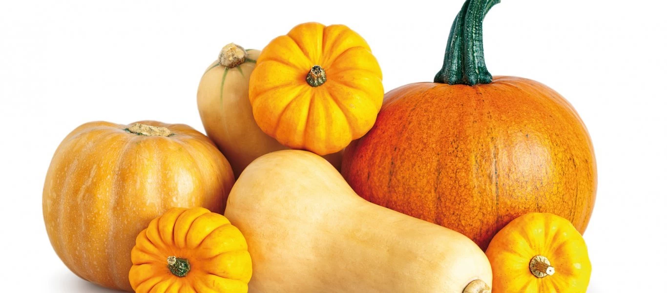 Τα 4+1 οφέλη που έχει για τον οργανισμό η κολοκύθα